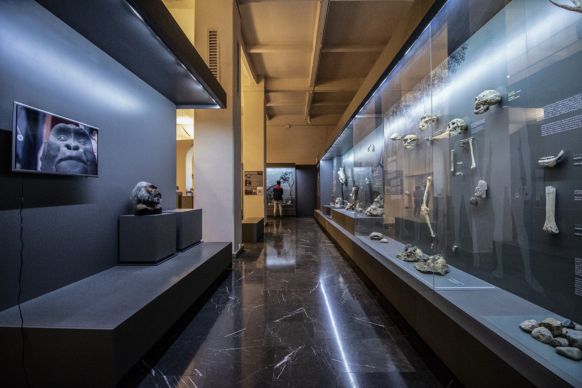 georgiannationalmuseum 10