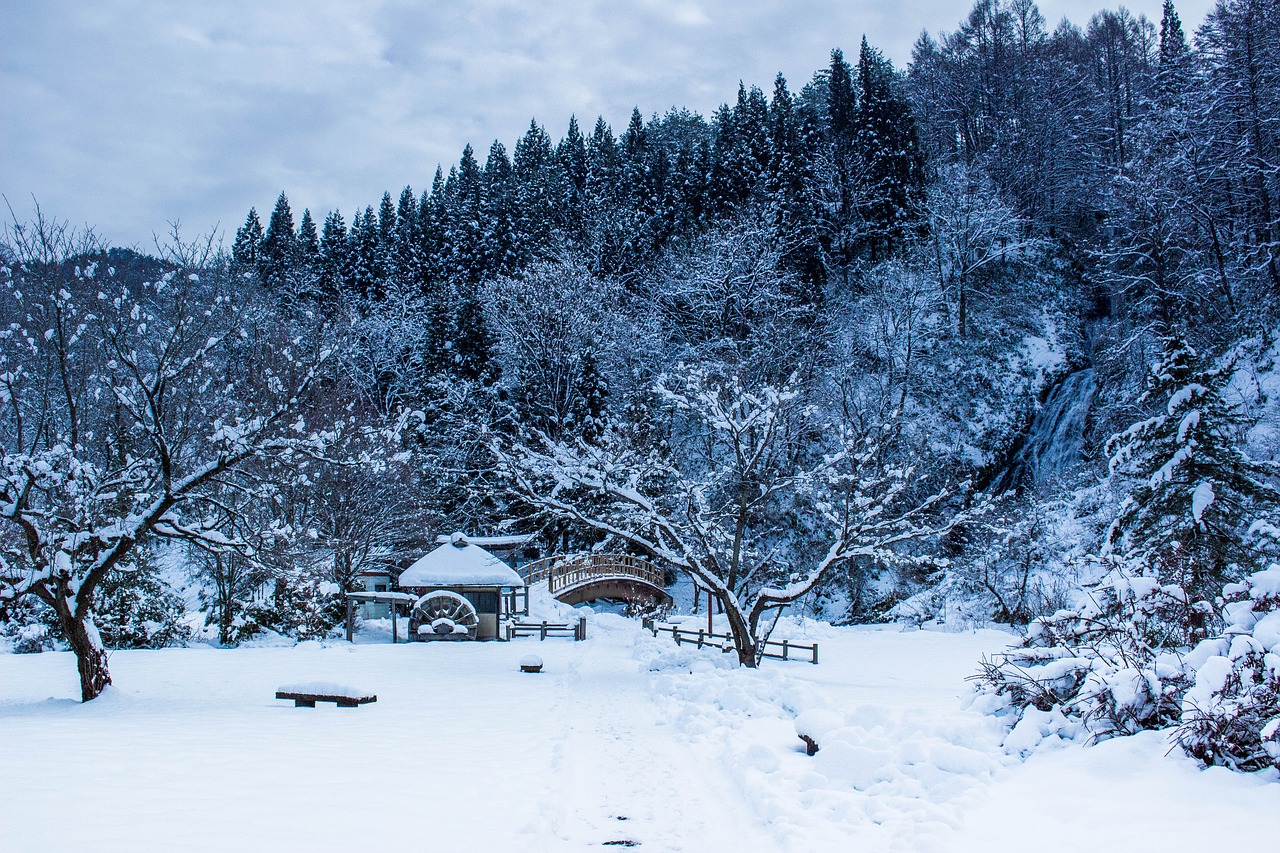 8 - Akita, Tōhoku, Giappone