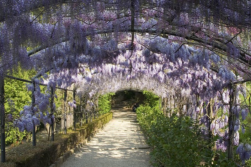 giardino bardini firenze