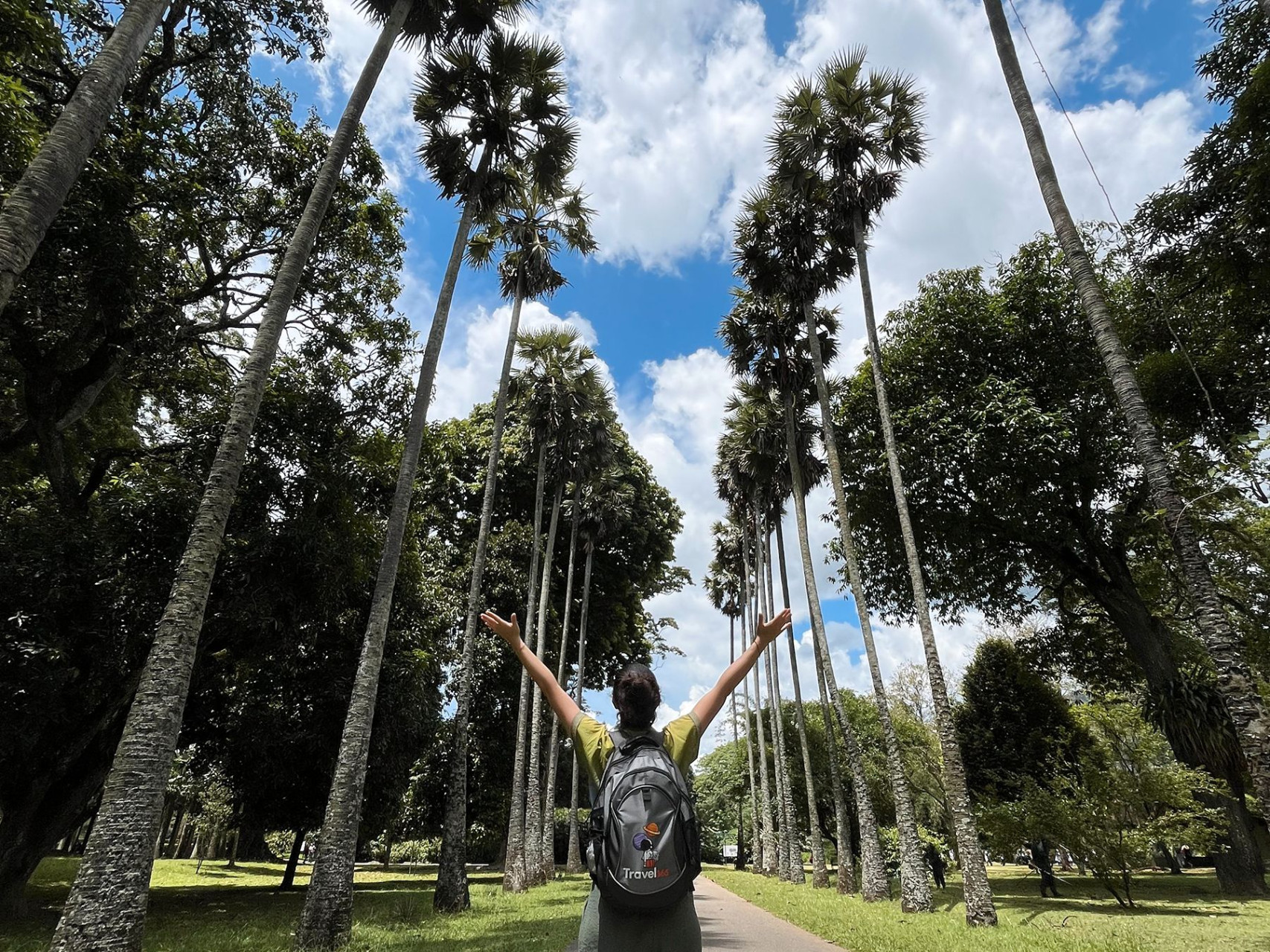 giardino boanico kandy palme risultato
