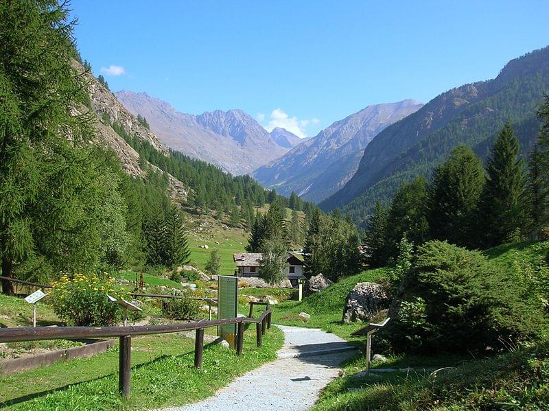 giardino botanico alpino paradisia