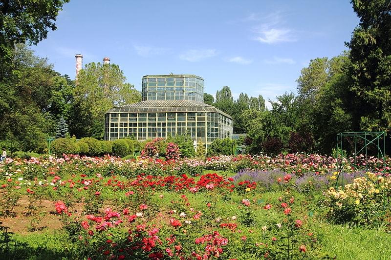 giardino botanico bucarest