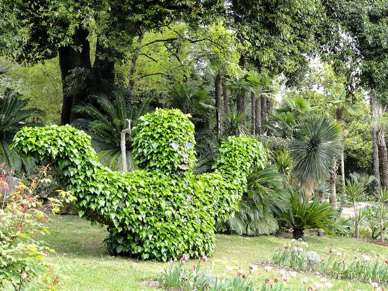 giardino botanico fondazione andre heller