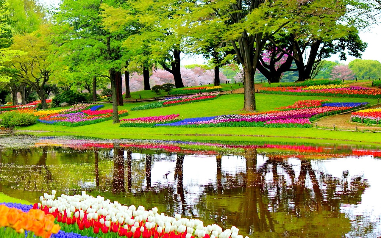 02 keukenhof