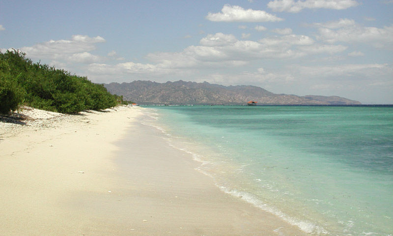 coral_reef_gili_meno