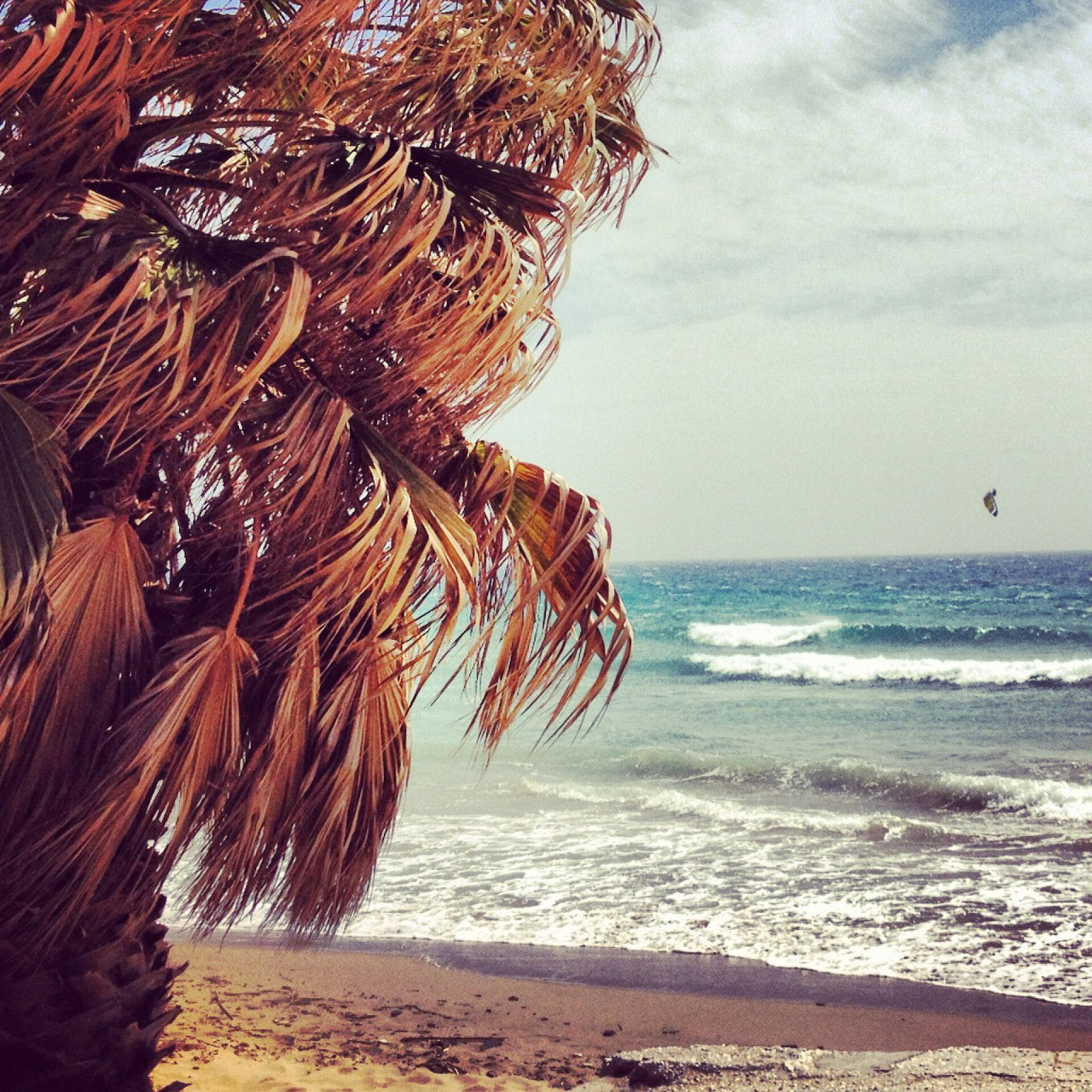 golden beach paros