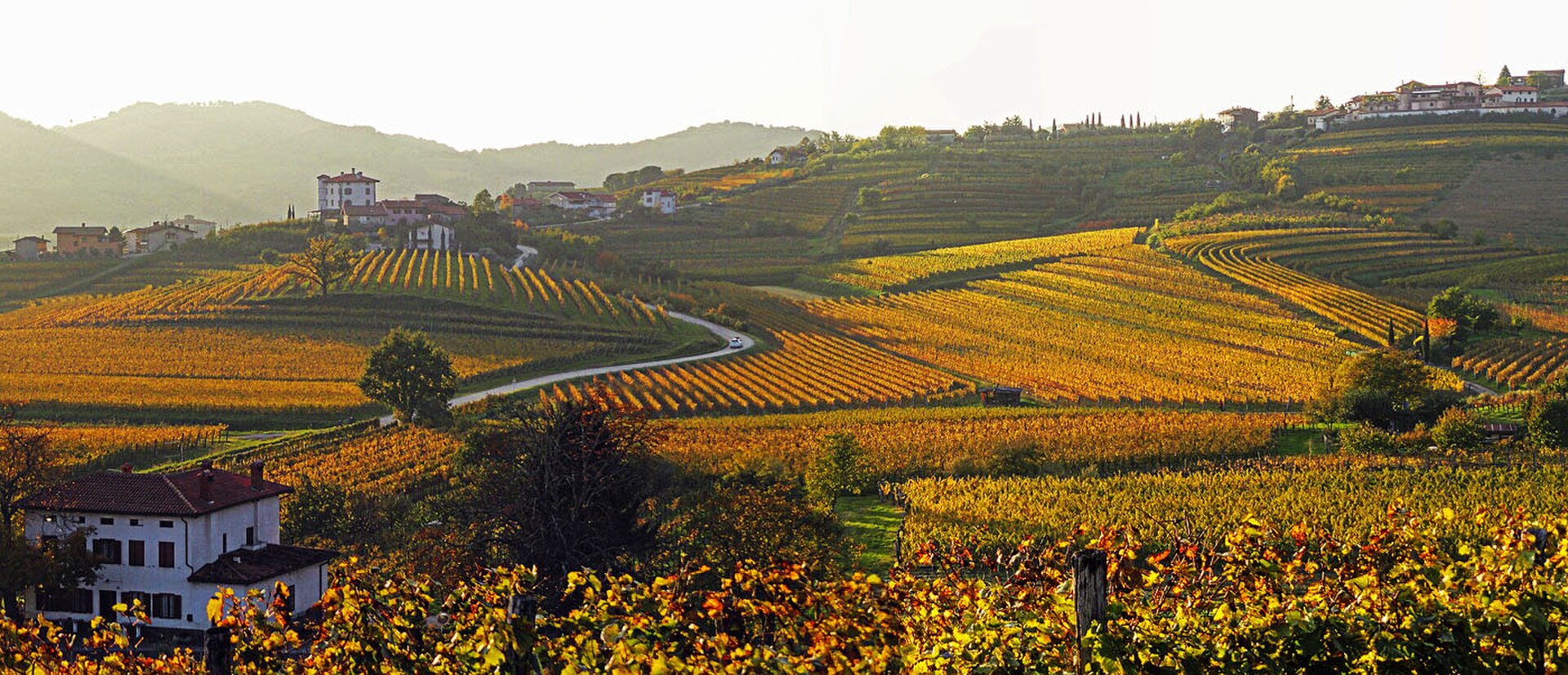goriska brda