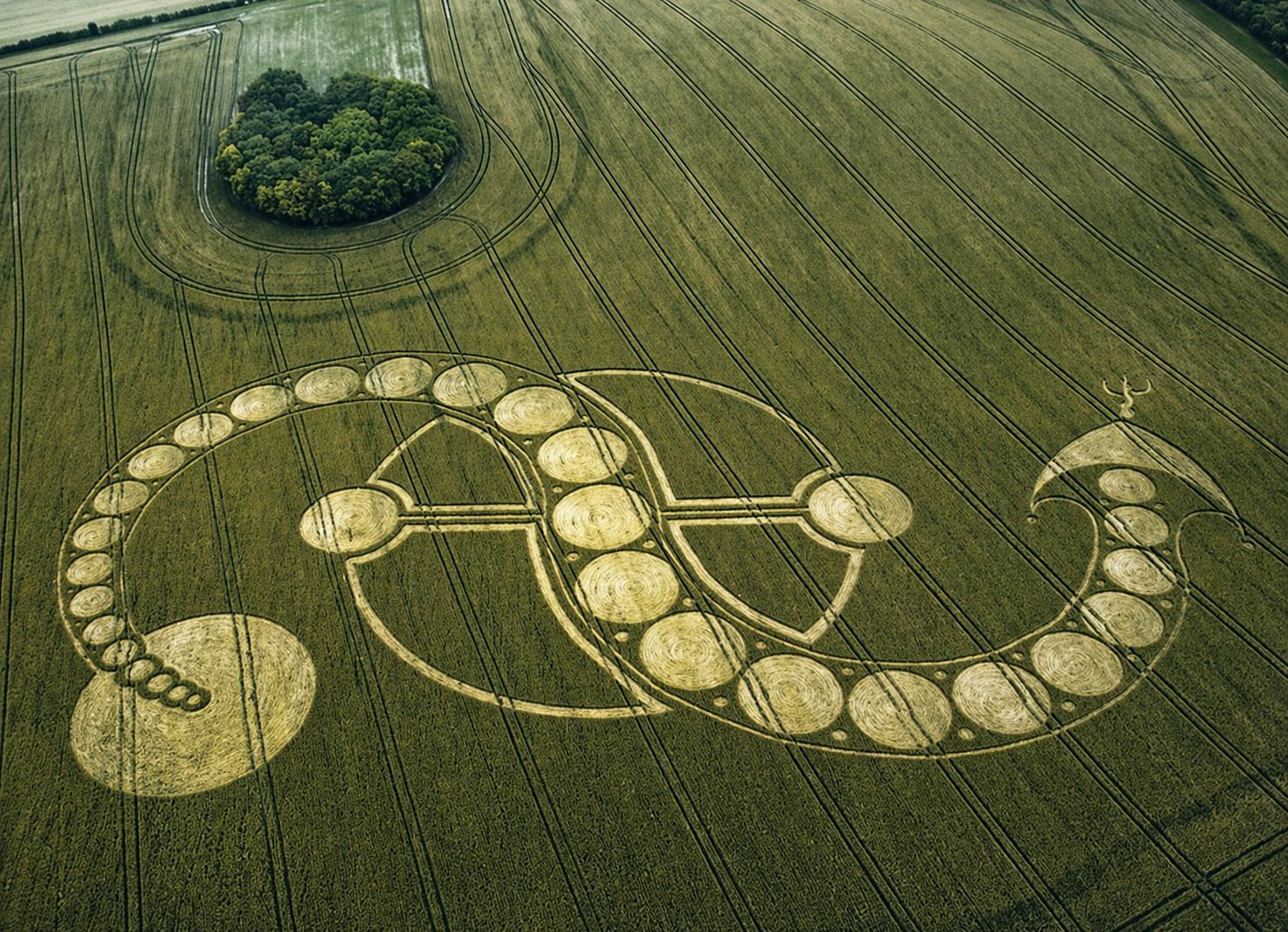 gp centipede