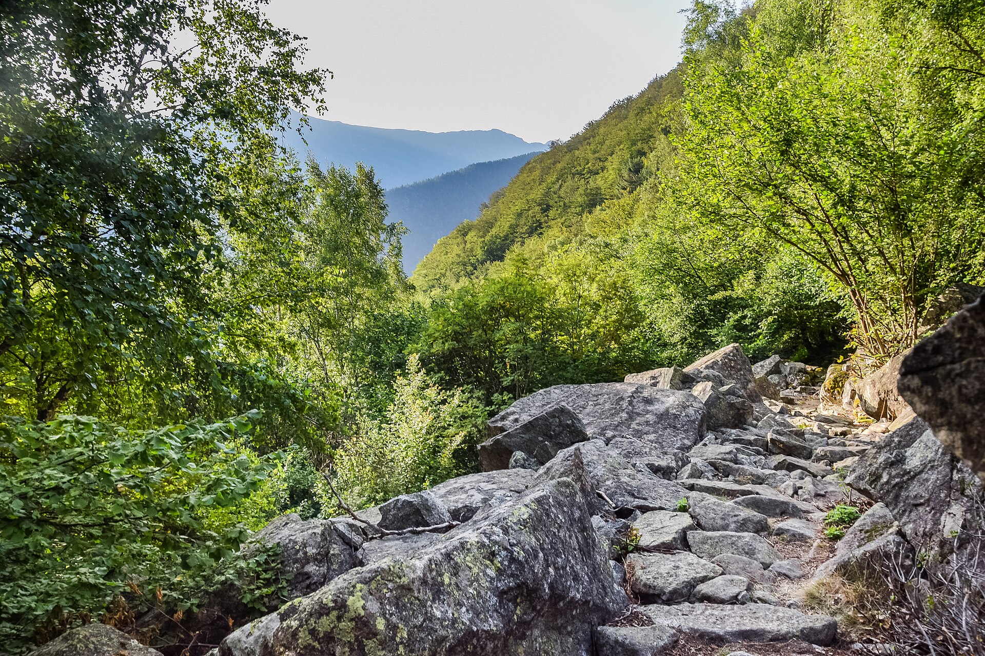 gr10auzat10