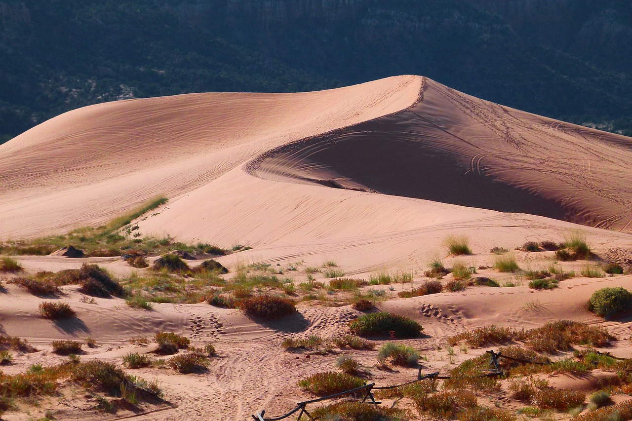 9 - Gran Deserto Sabbioso: 360.000 km²