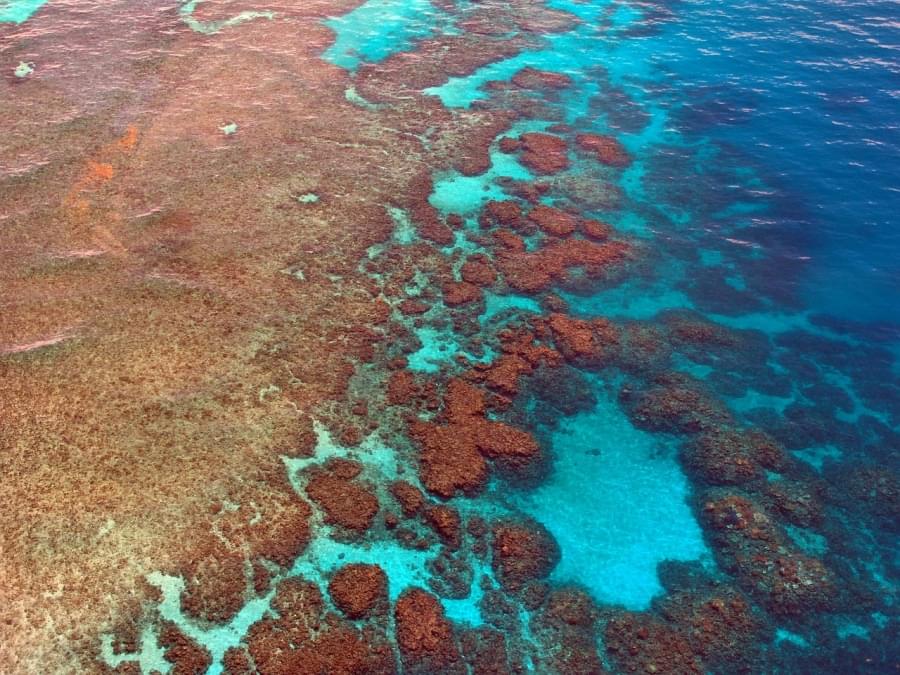 Grande Barriera Corallina, Australia