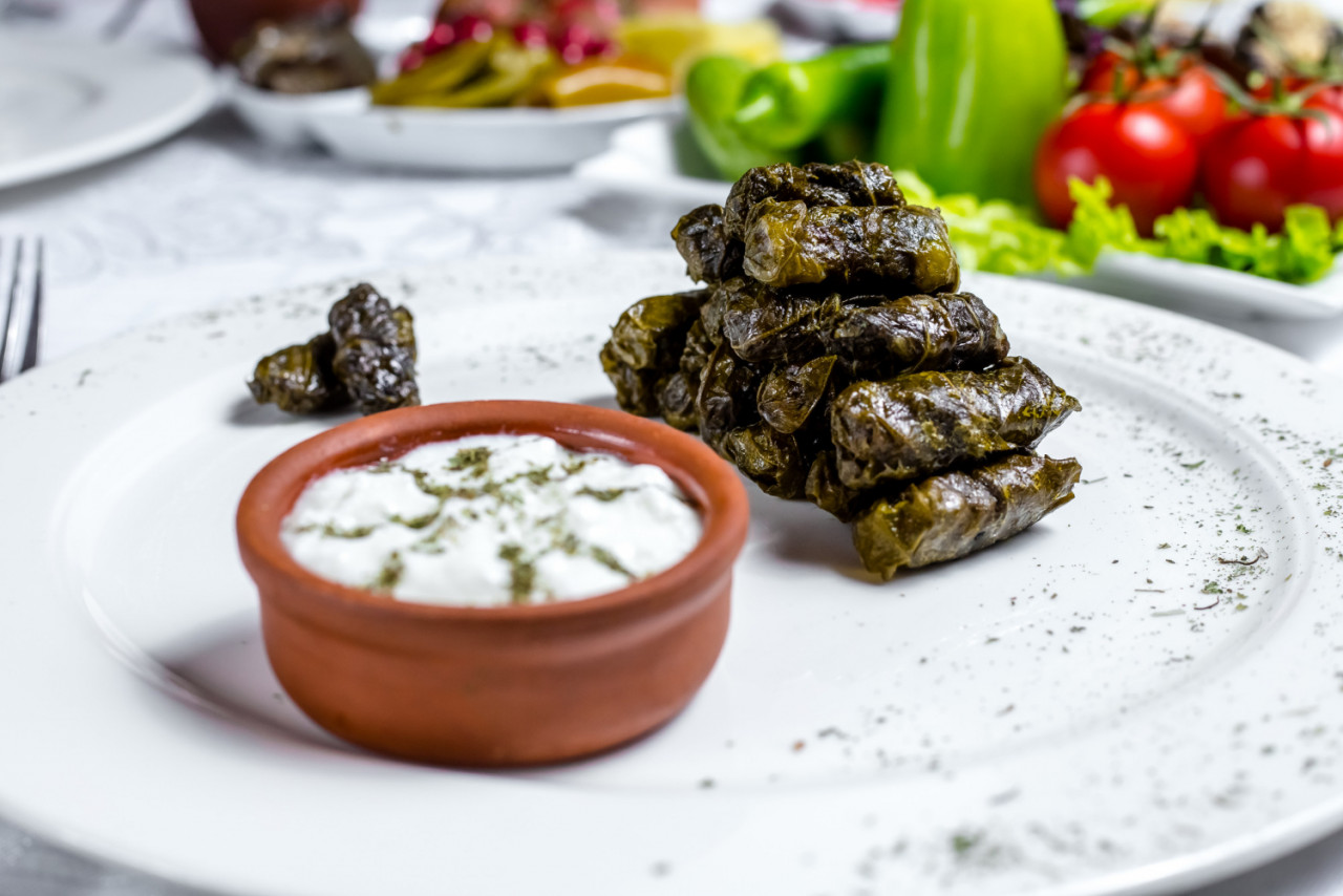 grape leaves dolma minced meat grape leaves plain youghurt mint spices side view