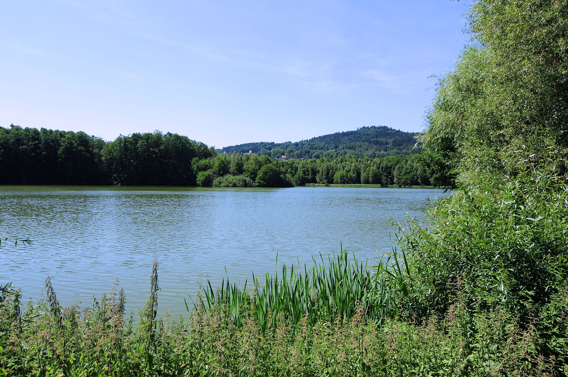 grosser teich schonberg saxony