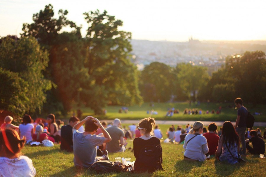 primrose hill londra