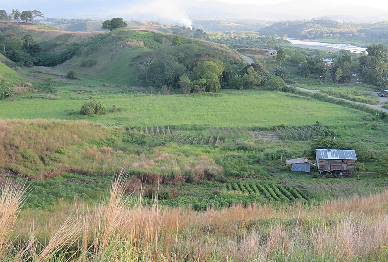 guadalcanal field