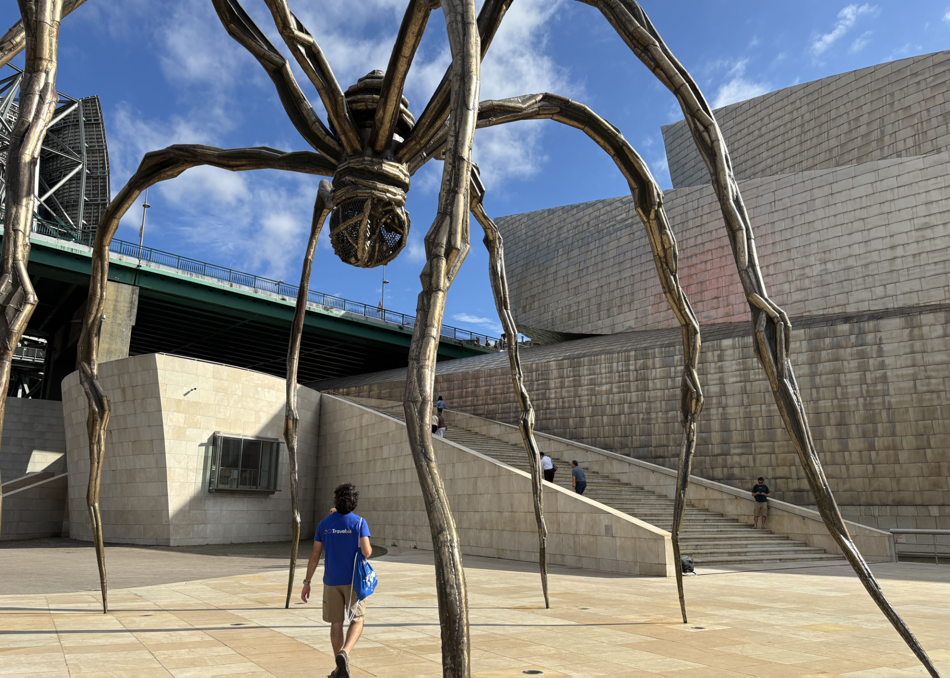 guggenheim 6 1