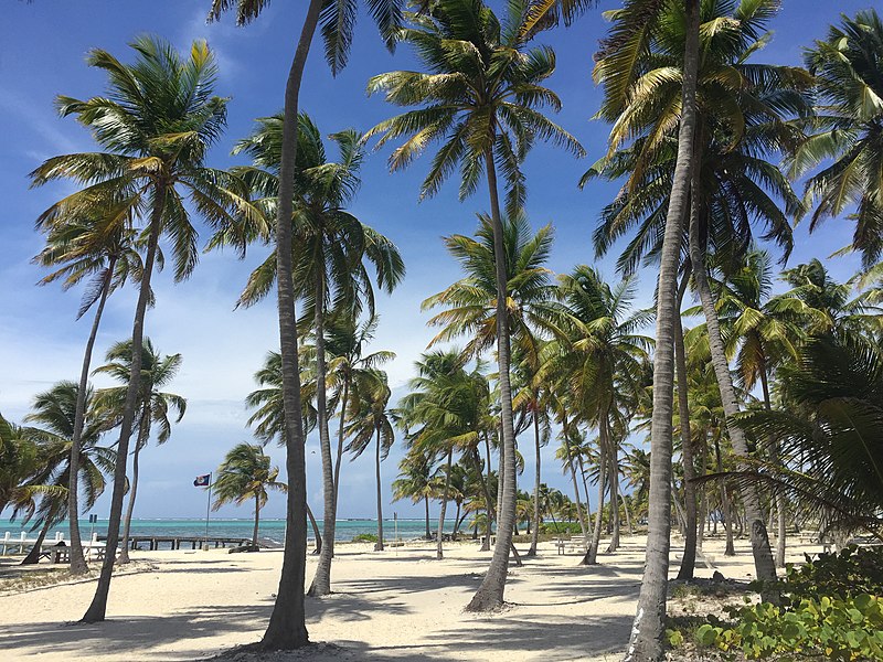 half moon caye belize