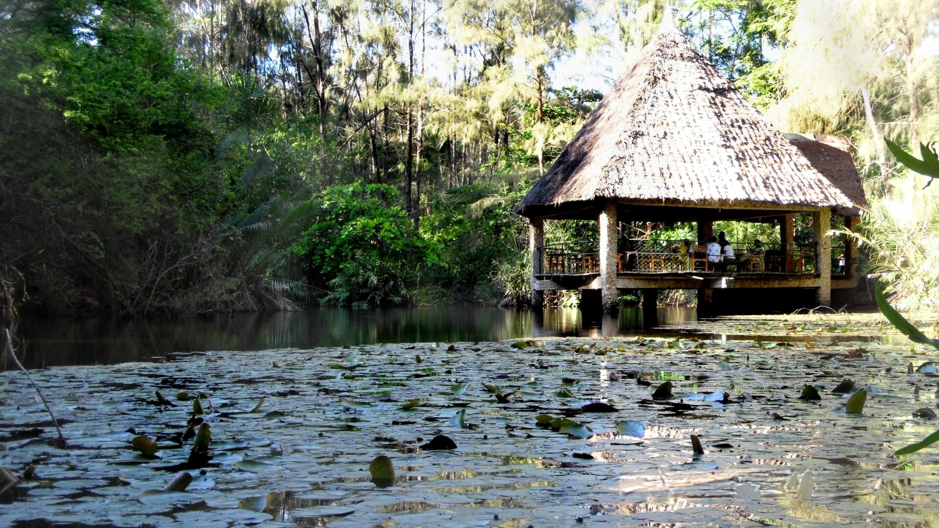 haller park 1