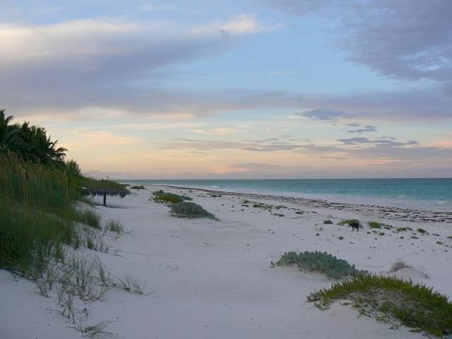 harbou island spiaggia