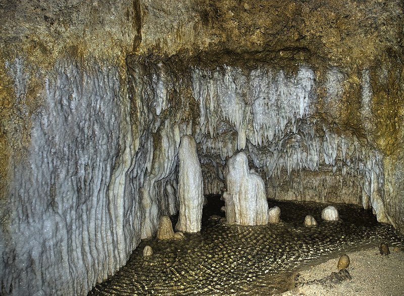 harrisons cave