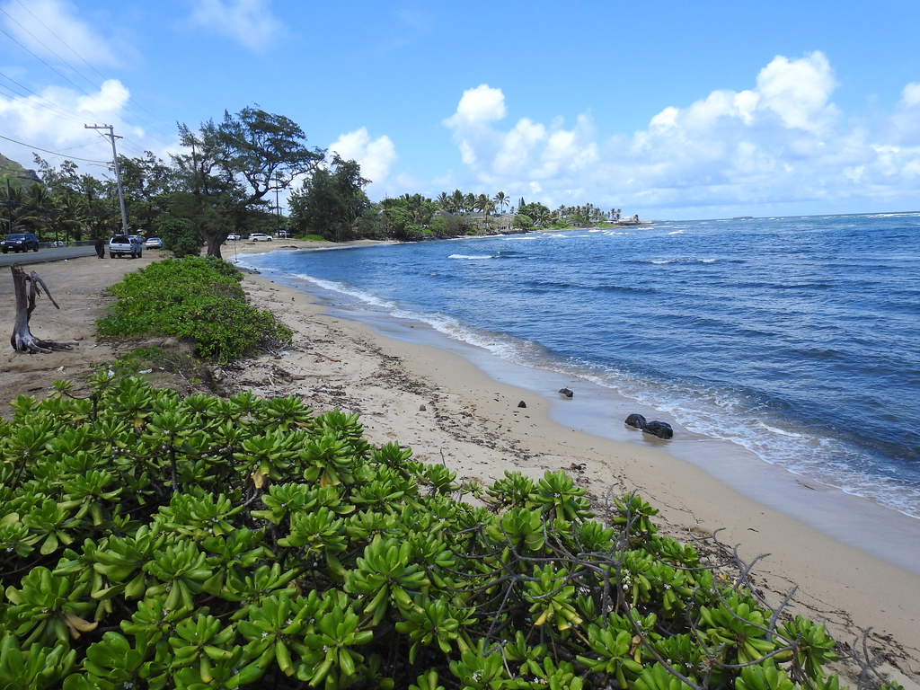 hau ula in ko olauloa on the windward coast of o ahu