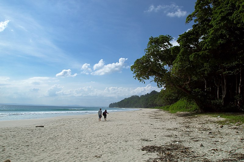 havelock island radhanagar beach tropical bliss andaman islands