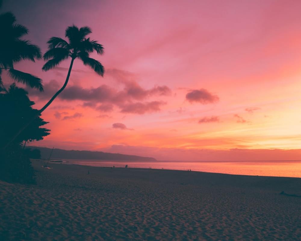 hawaii palme tramonto