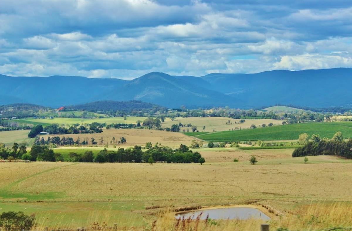 healesville australia natura 1