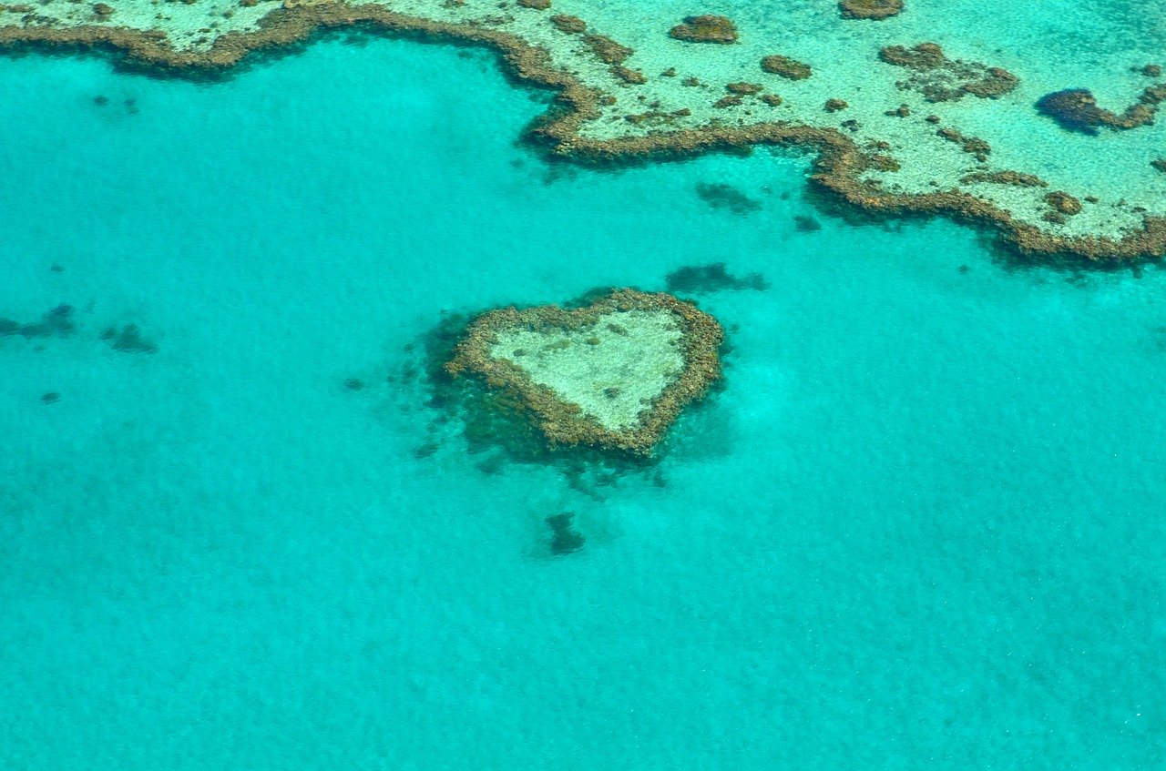 heart reef