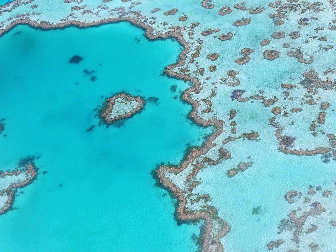 heart reef australien