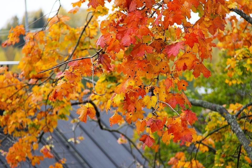 helsinki autunno