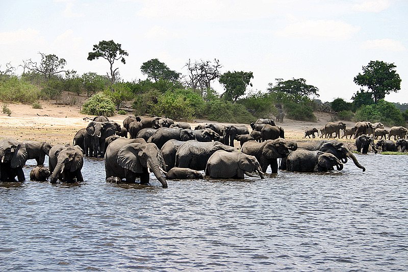 zambezi national park