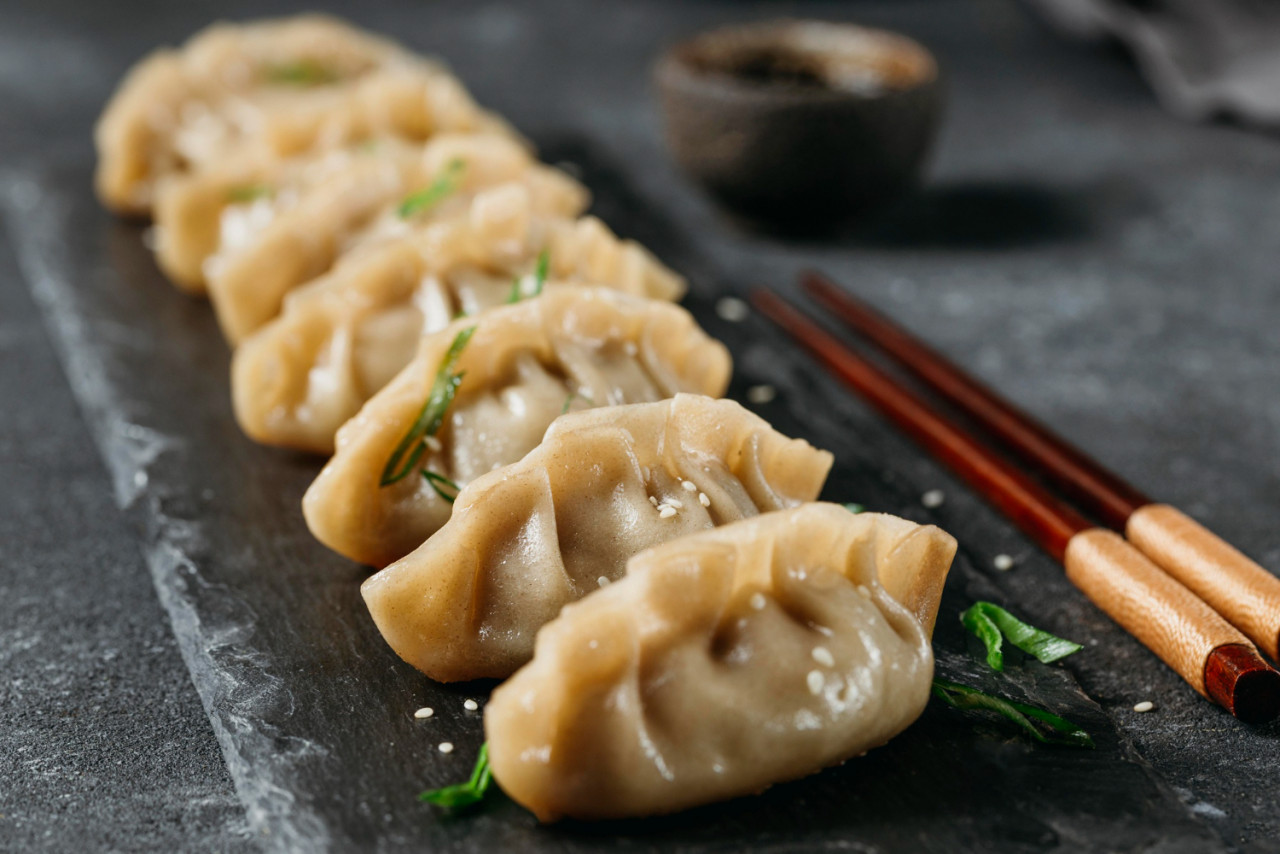 high angle japanese dumplings composition