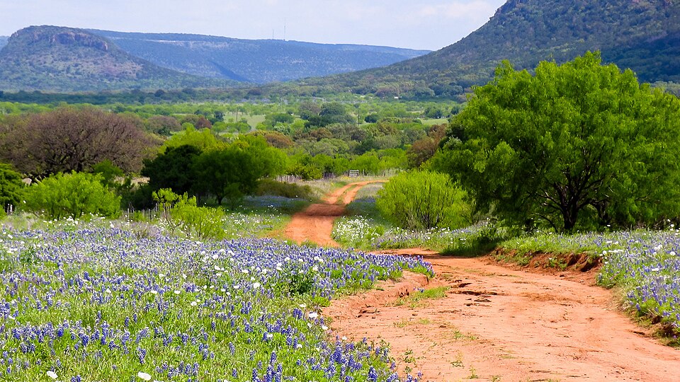 hill country road 106648873