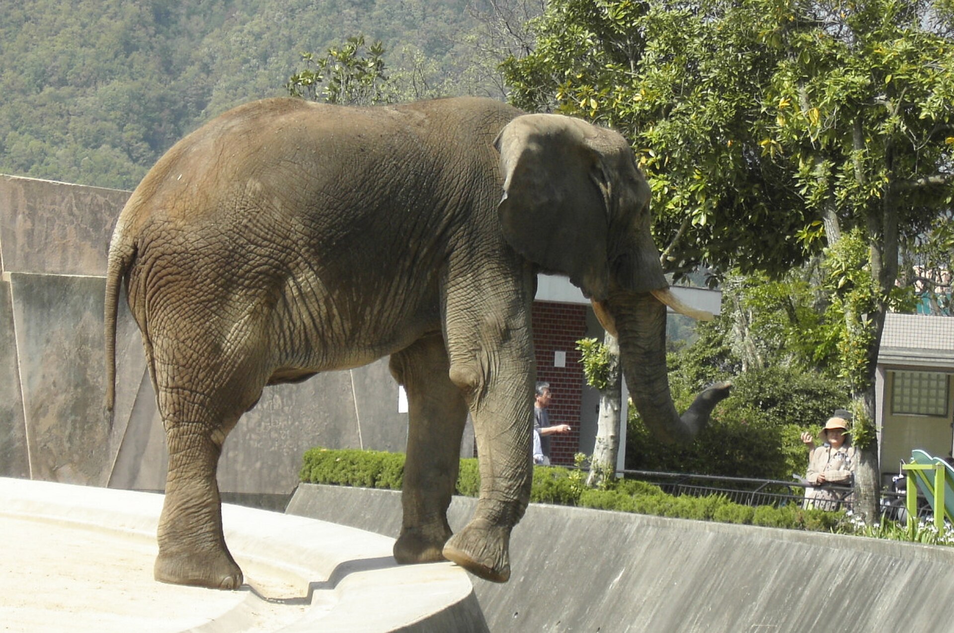 hiroshima asa zoologicalpark2