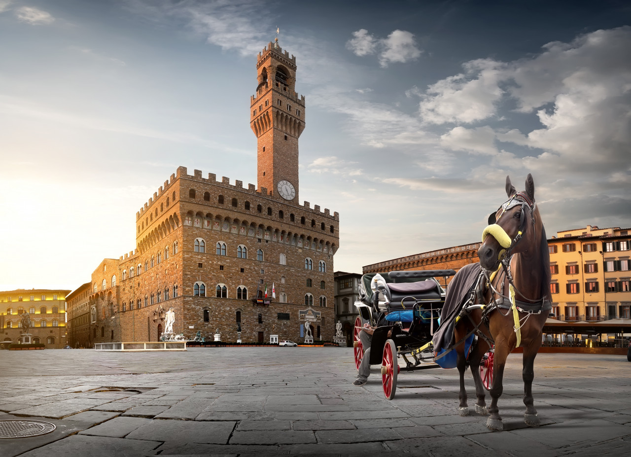 horse piazza della signoria florence dawn italy 1