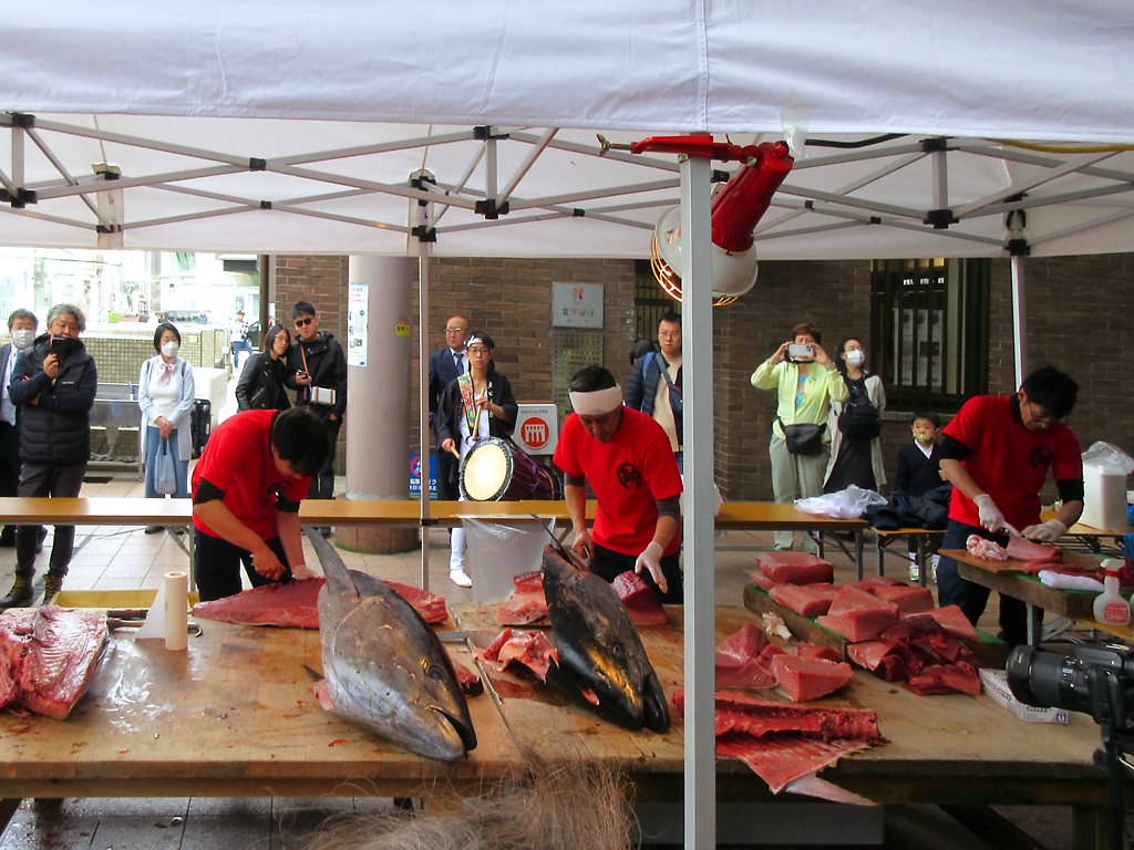 huge tuna