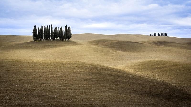 i cipressi della val d orcia