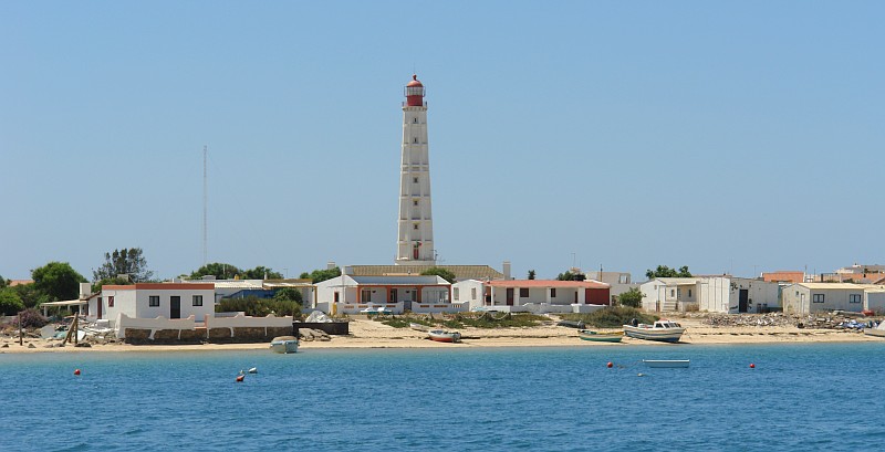 ilha da culatra 4