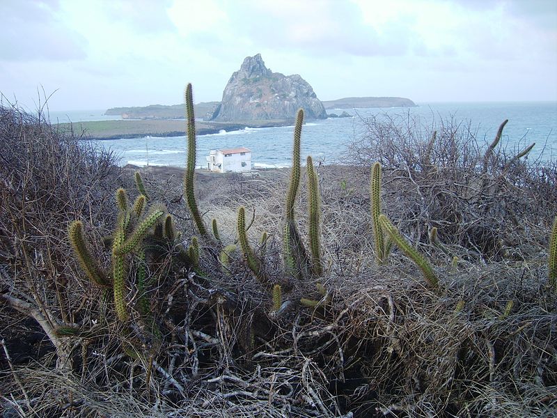 ilha rata ilhas secundarias