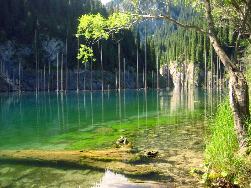 La Foresta sommersa, lago Kaindy, Kazakistan