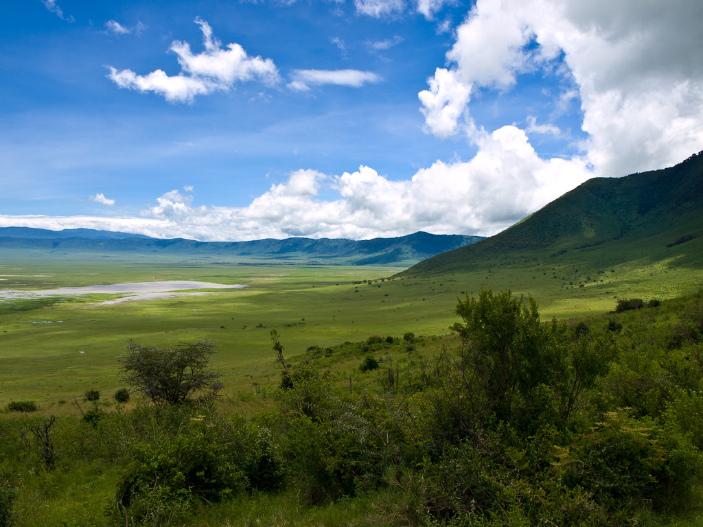 in the ngorongoro crater