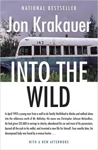 Copertina Into The wild