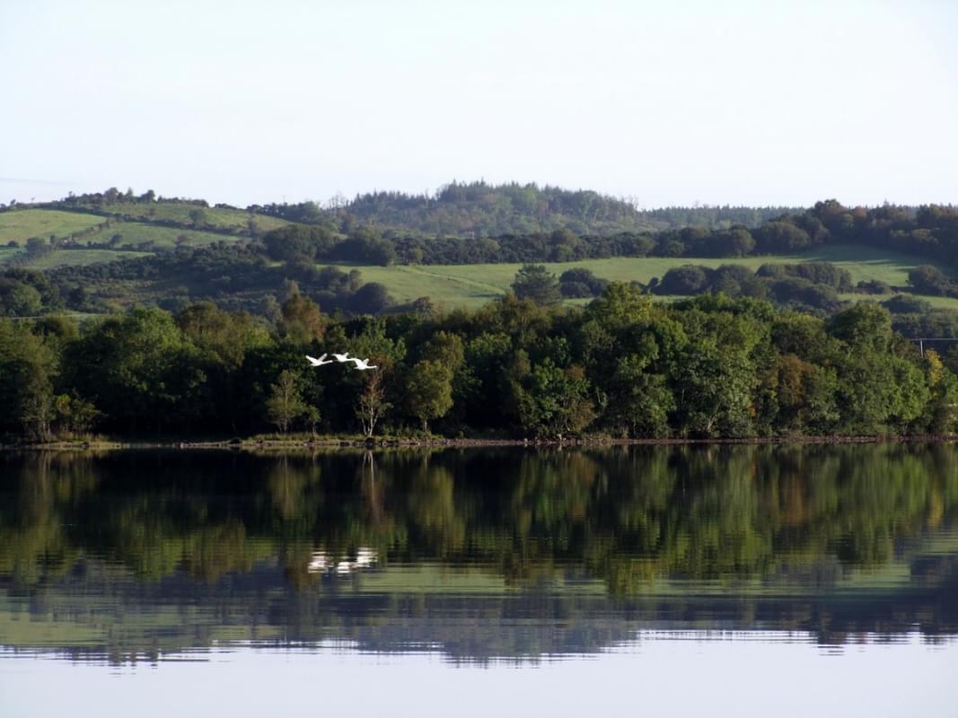 irlanda lago natura uccelli cielo