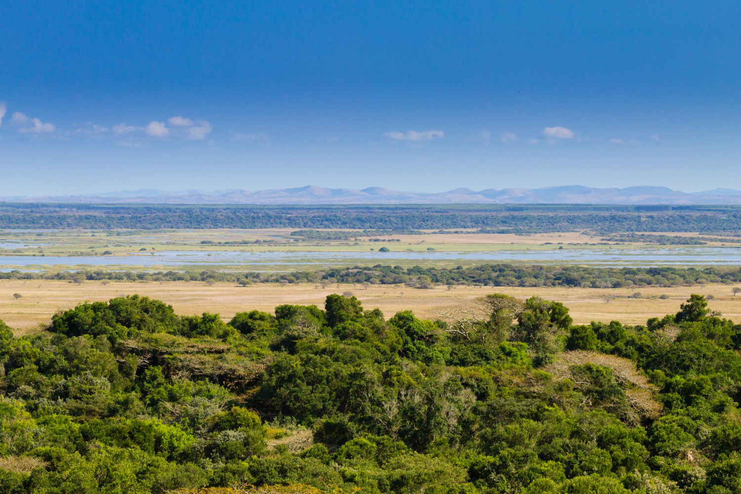 isimangaliso wetland park