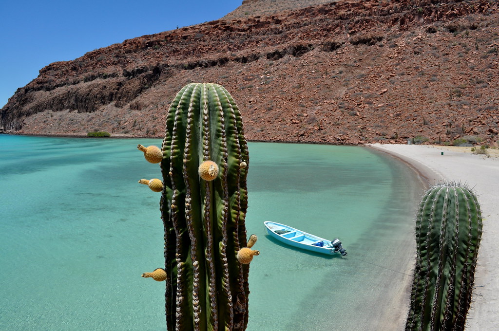 isla espiritu santo baja california sur mexico
