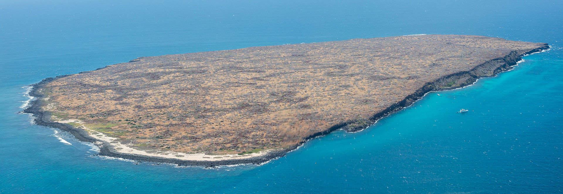 isla seymour norte islas galapagos ecuador 2015 07 23 dd 02 03 pan