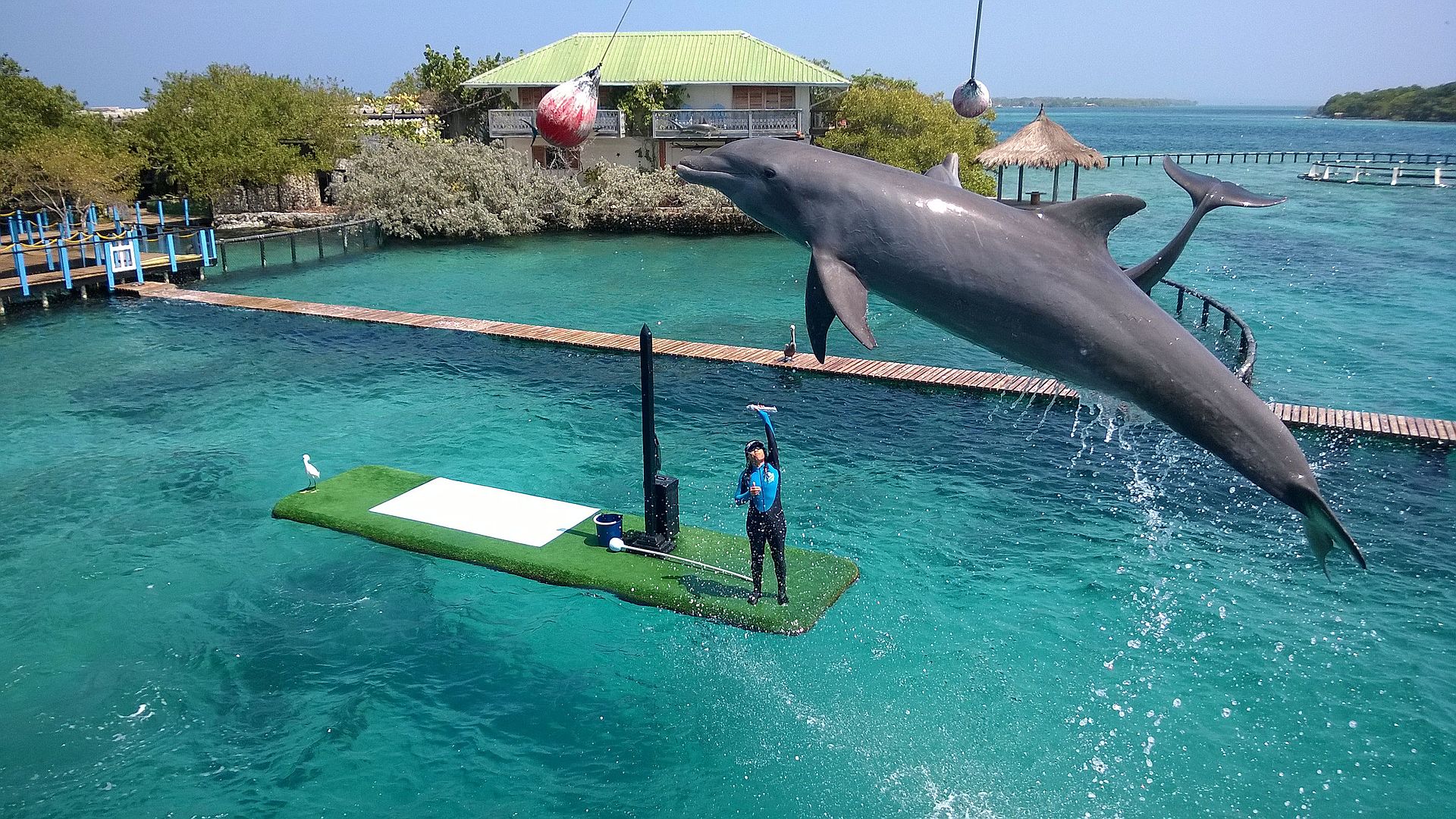 islasdelrosario cartagena 9