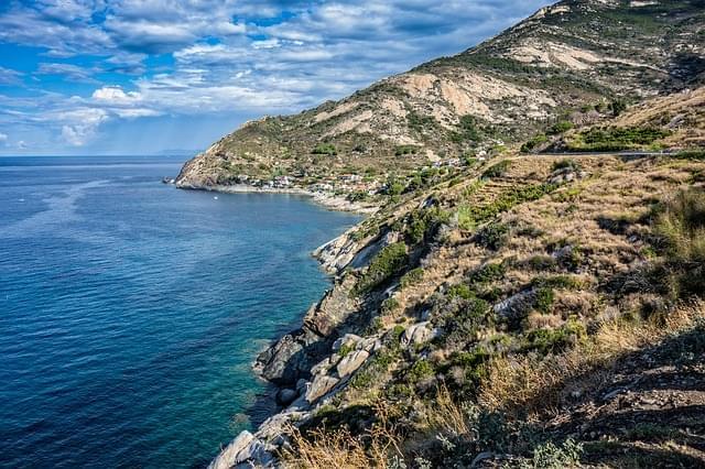 isola d elba cavoli