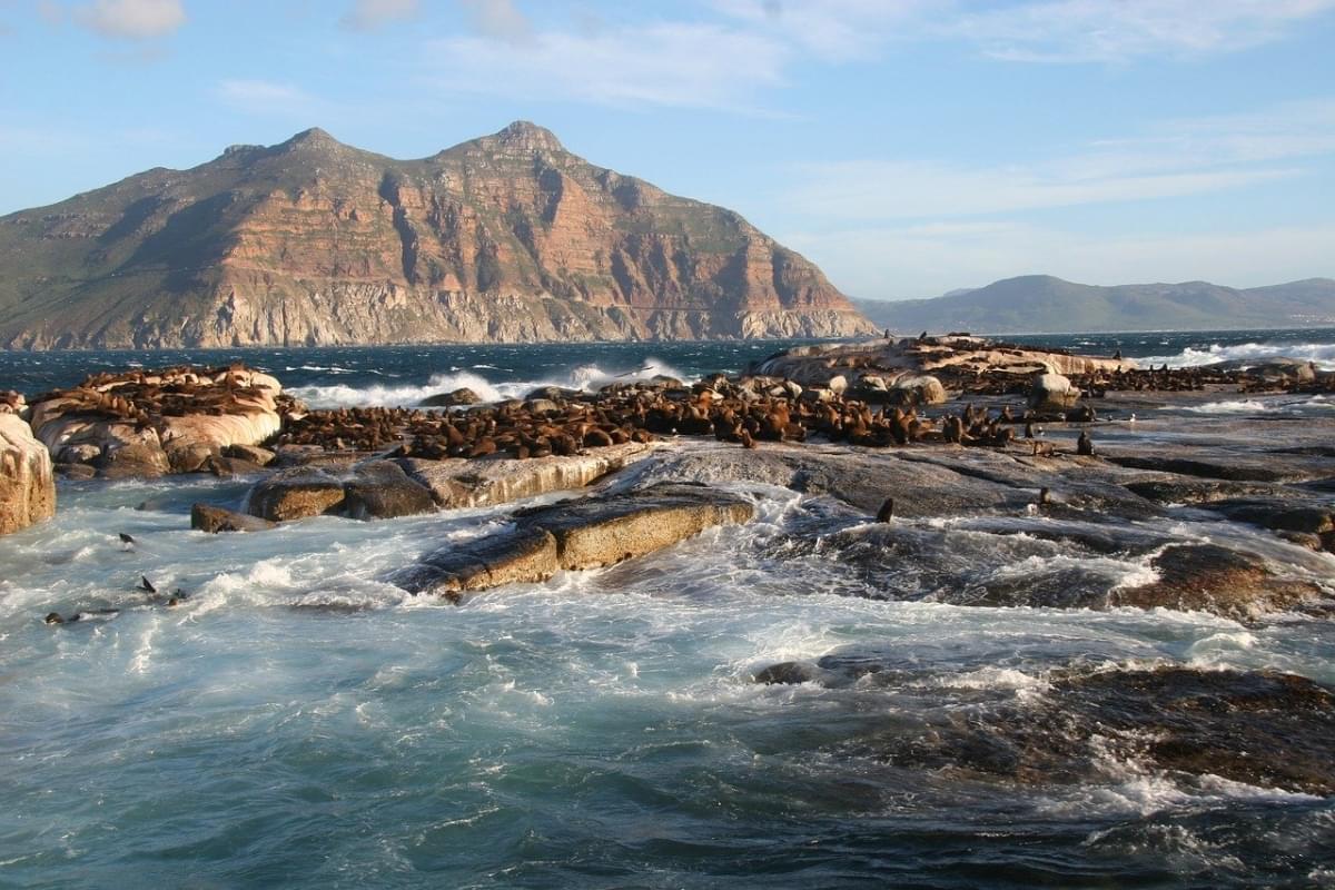 isola di duiker sud africa cape